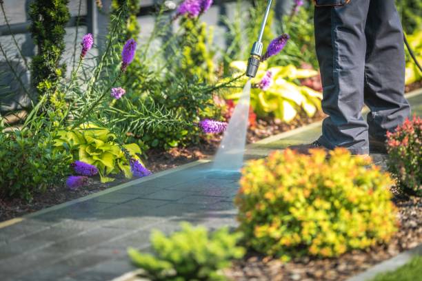 Best Animal Enclosure Cleaning  in Miramar Beach, FL